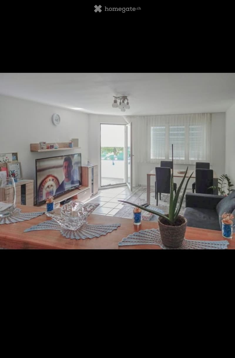 Bright living room with a sofa, coffee table, TV, dining area, and balcony access. Includes decorative items like a potted plant and a bowl on the coffee table.