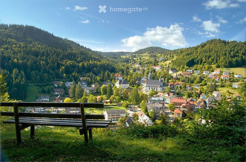 A scenic view of a small village nestled in a lush green valley surrounded by forested hills. A wooden bench is positioned in the foreground, offering a vantage point to enjoy the picturesque landscape.