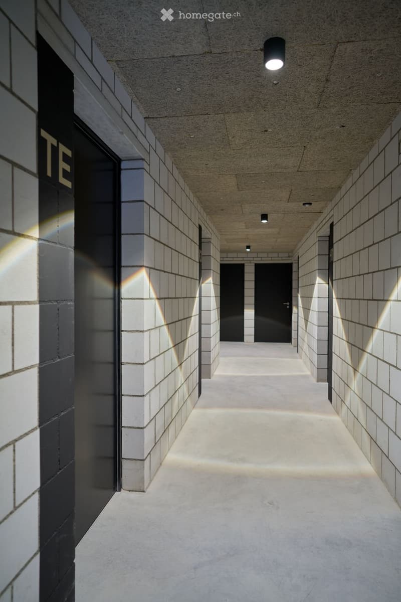 Modern corridor with white tiled walls, concrete floor, recessed lighting, and two black doors at the end.