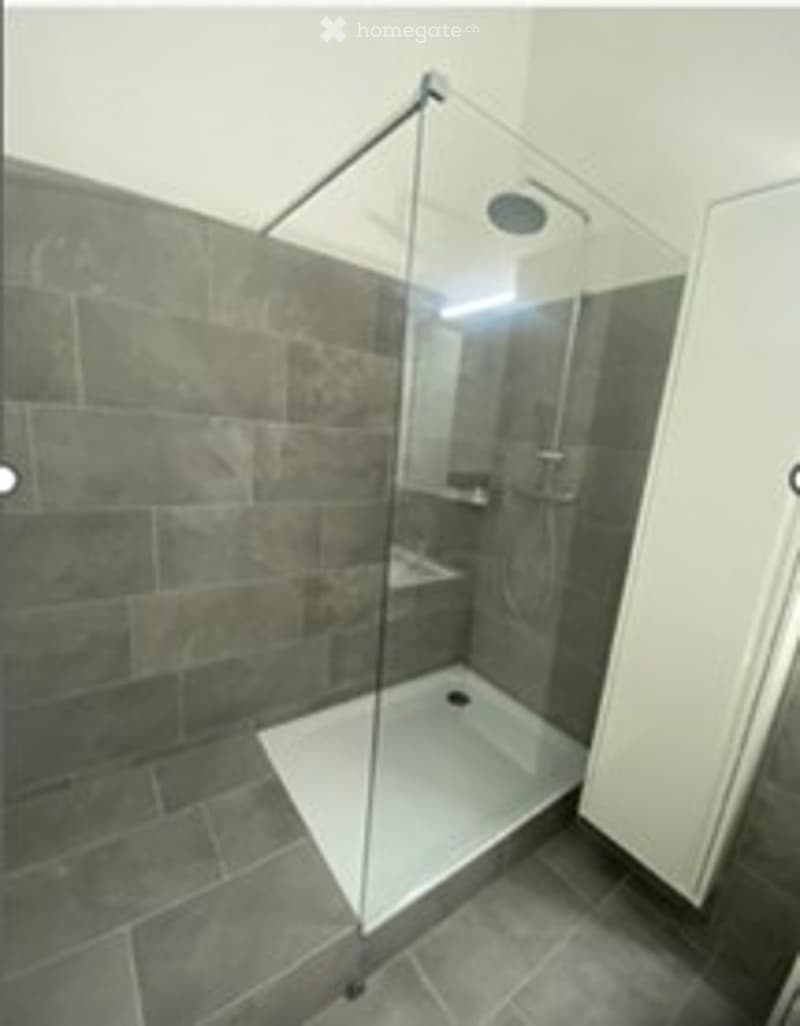 Modern bathroom with a glass-enclosed shower stall, built-in shelf, and grey tiled walls and floor.