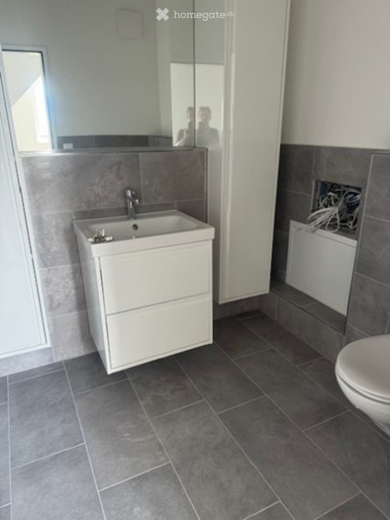 Modern bathroom with a white sink cabinet, a large mirror, and a toilet. The walls are tiled in grey, and the floor is covered with dark grey tiles.