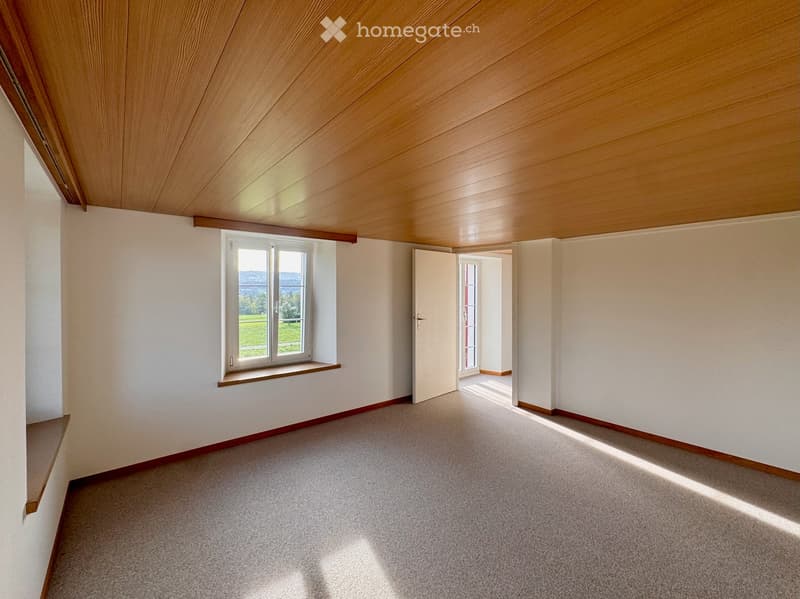 Empty room with white walls, wooden ceiling, carpeted floor, and a window with a view of a green field.
