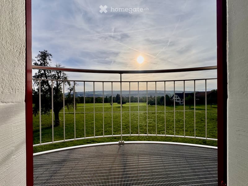 Balcony with metal railing, overlooking a green field and distant houses under a partly cloudy sky.