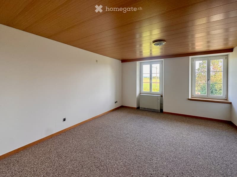 Empty room with carpeted floor, white walls, wooden trim, and two windows with white frames. A radiator is visible under one window.