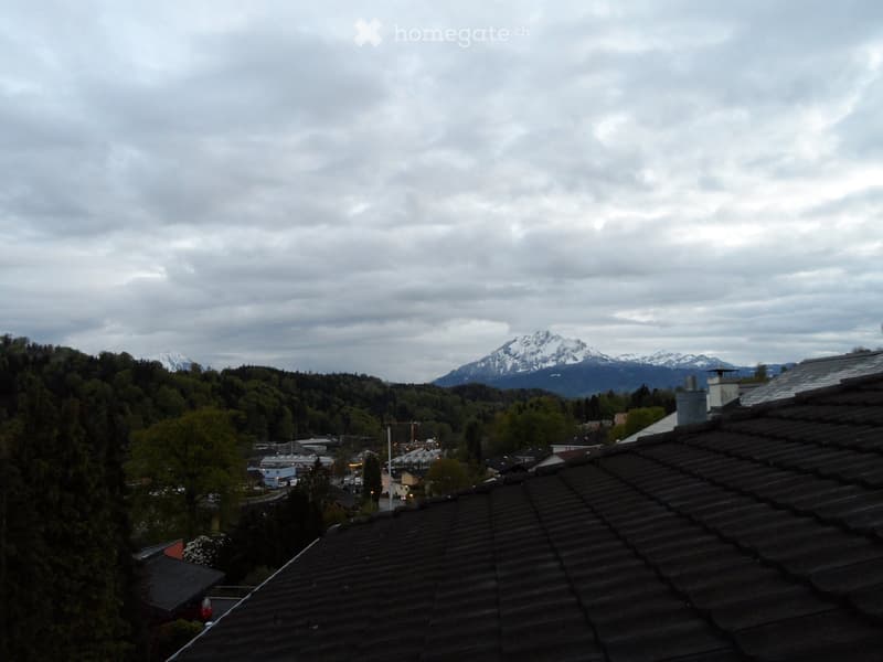 View from a rooftop showing a town with houses, trees, and distant snow-capped mountains under a cloudy sky.