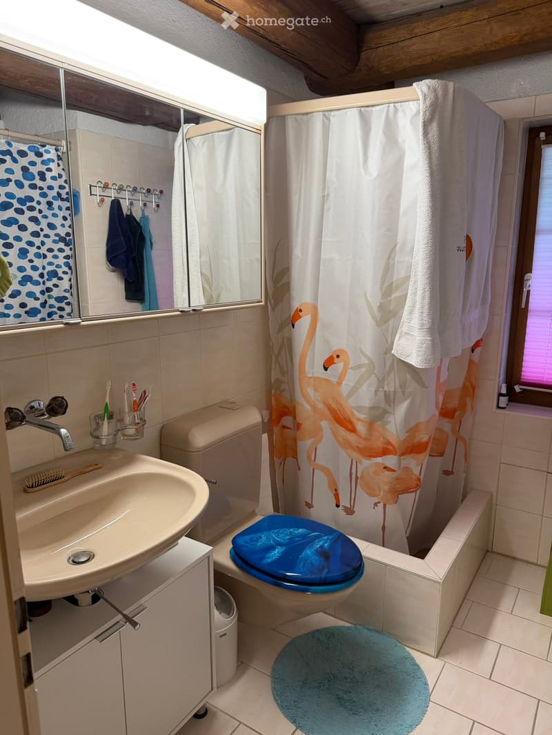 Bathroom with a sink, toilet, shower, and a flamingo-themed shower curtain. Includes a towel, toothbrush holder, and a round blue rug.