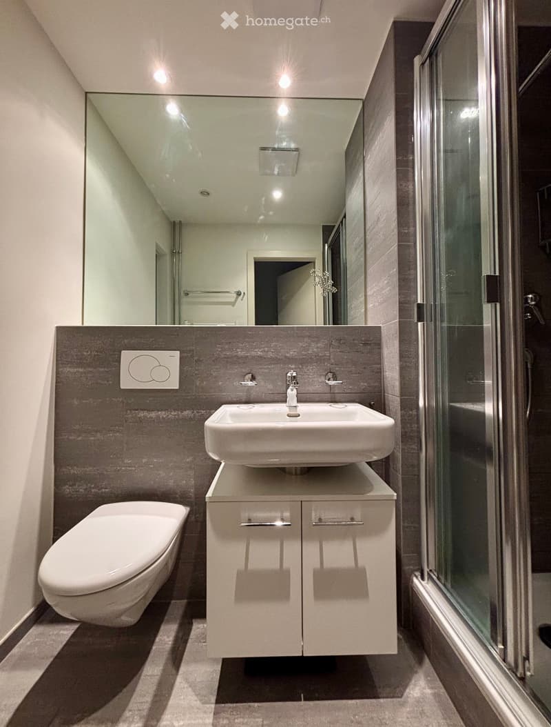 Modern bathroom with a white sink, toilet, large mirror, and built-in cabinet with soft-close drawers.