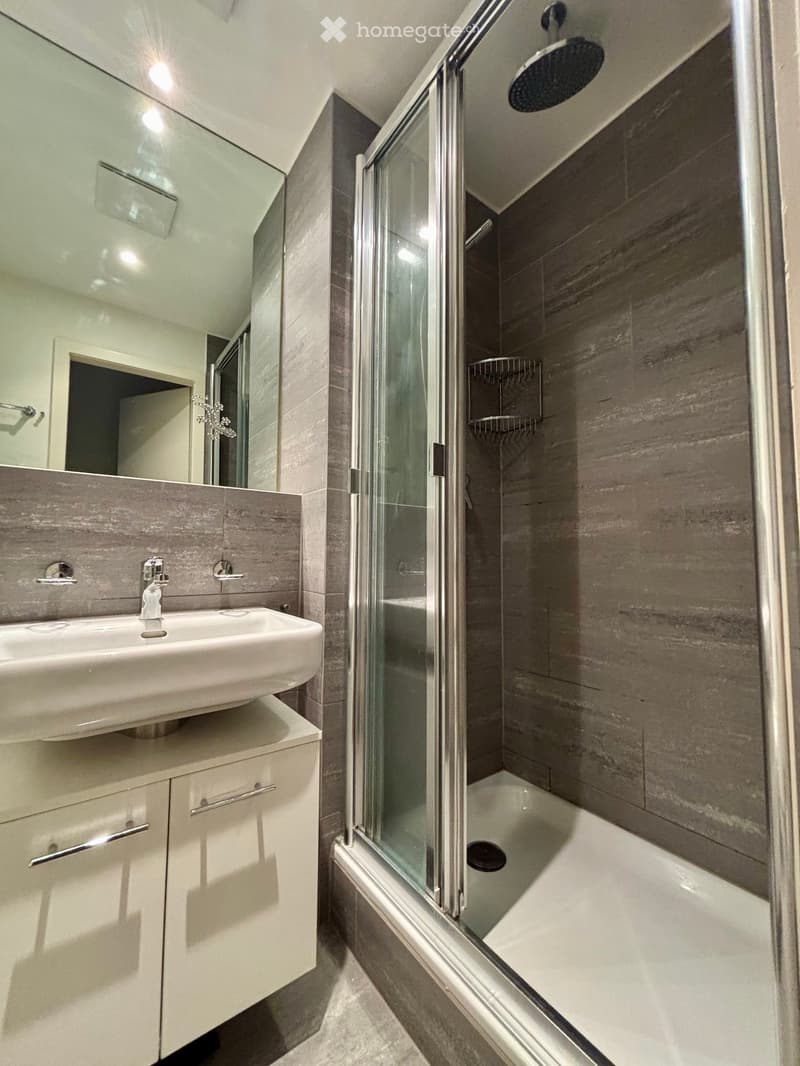 Modern bathroom with a white sink, mirrored cabinet, glass-enclosed shower, and a bathtub. Features sleek, contemporary design with grey tiles and modern fixtures.