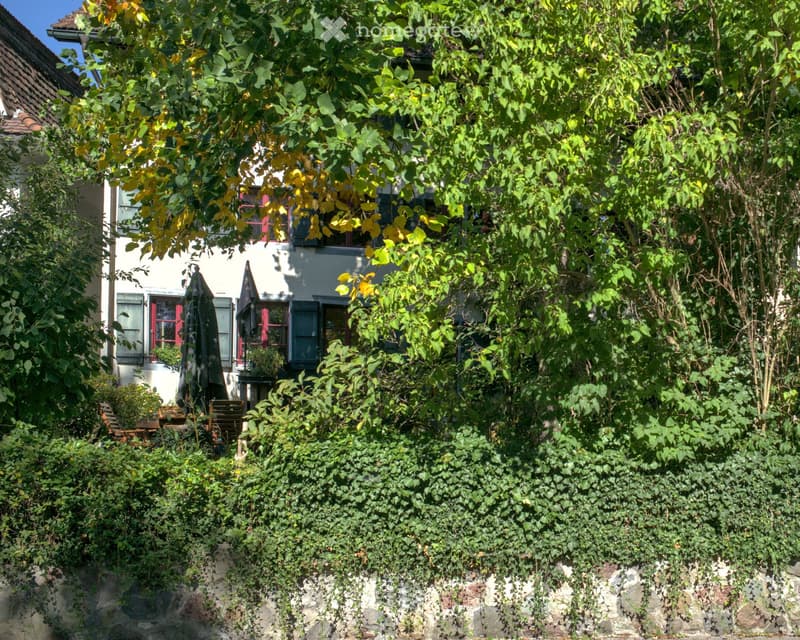 Garden area with lush greenery, stone wall, wooden chairs, and a closed umbrella near a white house with red-framed windows.