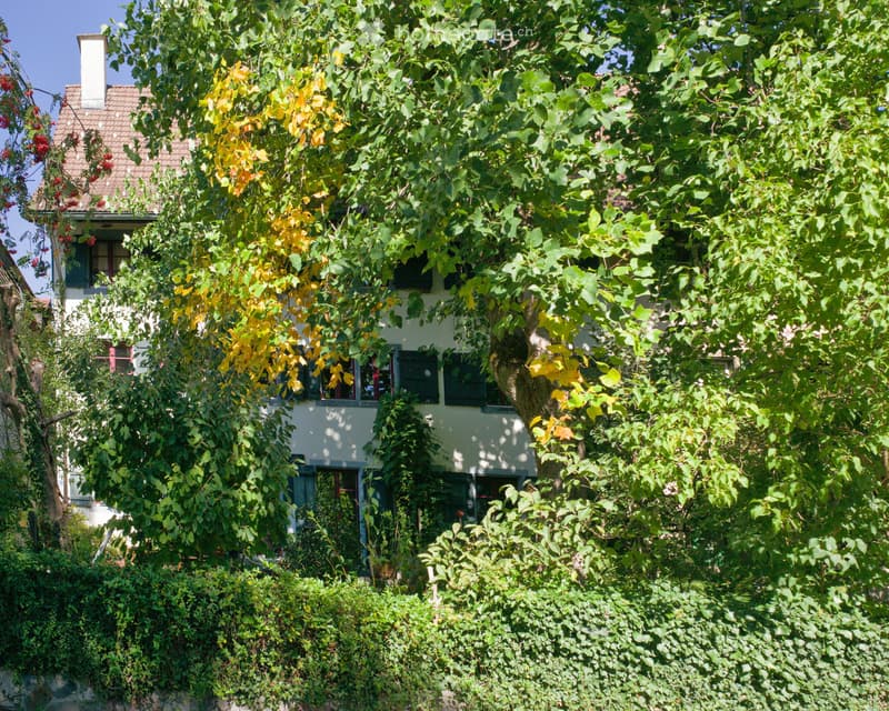A two-story house partially obscured by lush greenery and trees, with visible windows and a chimney on the roof.