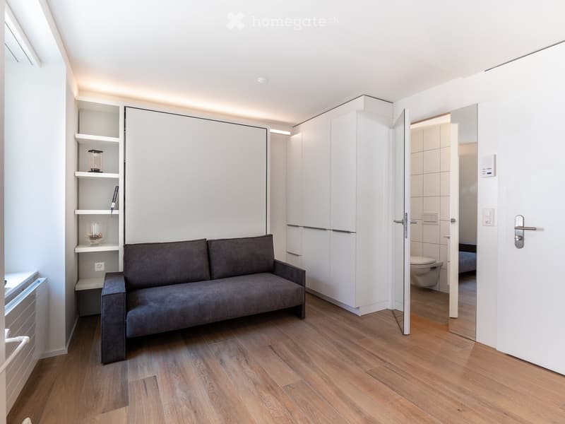 Modern, compact living space with a grey sofa, built-in white shelving unit, and an adjacent bathroom with a toilet visible through an open door.