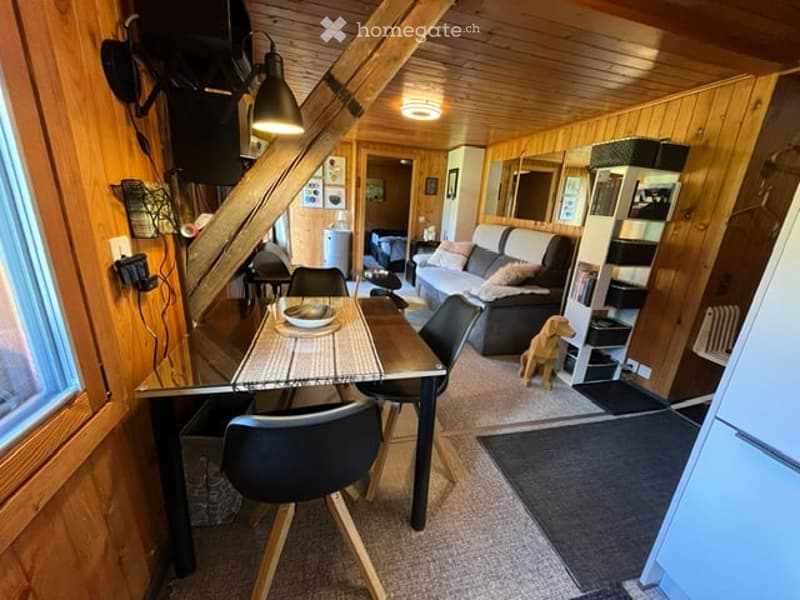 Cozy, wooden-paneled living and dining area with a sofa, dining table, chairs, bookshelf, and a small dog.