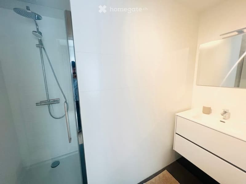 Modern bathroom with a glass-enclosed shower, sleek white sink, and a large mirror above it.