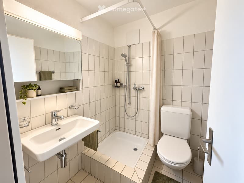 Modern bathroom with white tiles, a sink, toilet, shower, and a built-in cabinet with a mirror and shelves holding towels and a small plant.