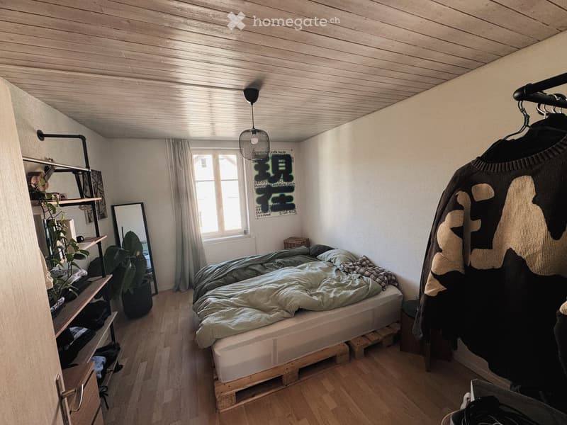 Cozy bedroom with a wooden bed frame, green bedding, a large mirror, a shelf with plants, and a hanging lamp.