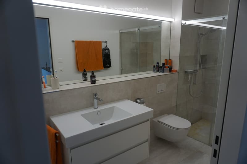 Modern bathroom with a white sink, toilet, and glass-enclosed shower. Features include a large mirror, towel rack with an orange towel, and various toiletries on the counter.