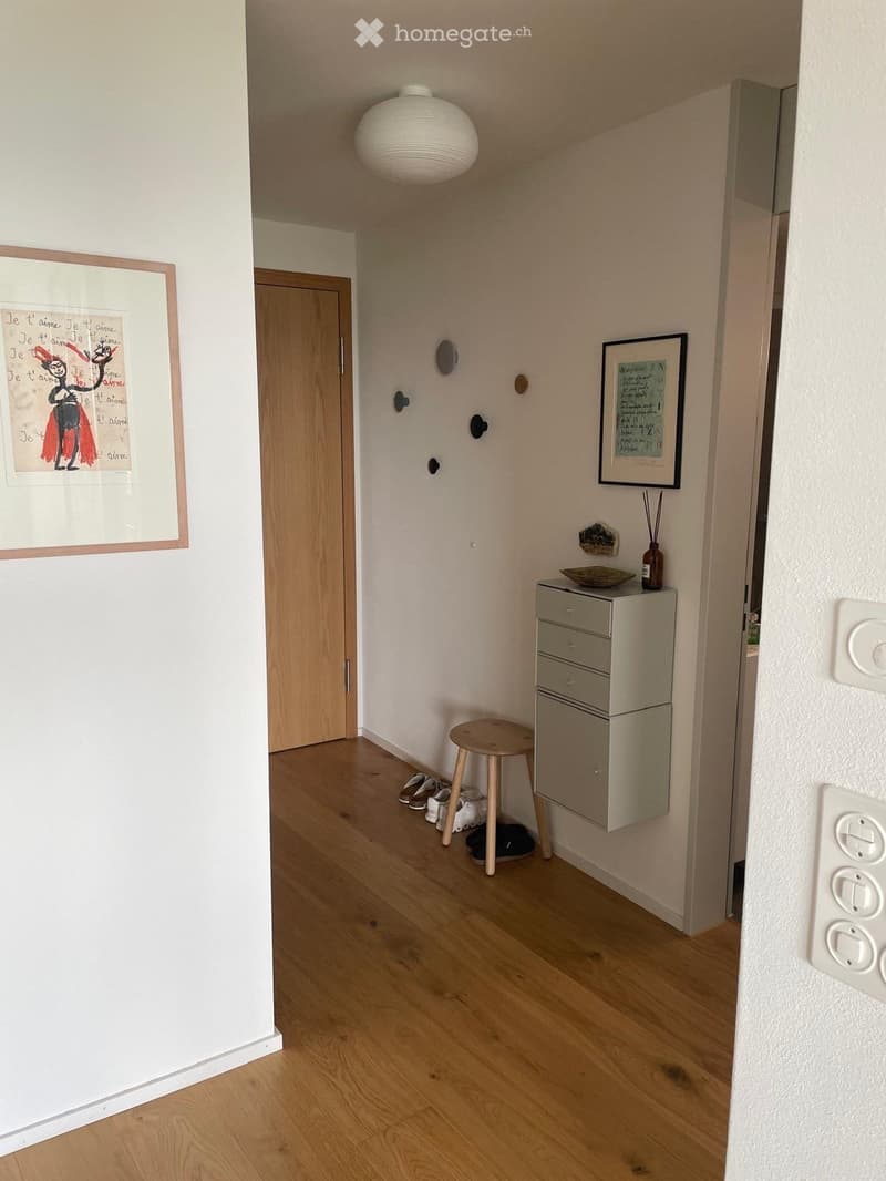 A narrow hallway with light wooden flooring, white walls, and a round ceiling light. Features include a small wooden stool, a grey cabinet with drawers, a framed artwork, and several pairs of shoes placed near the door.