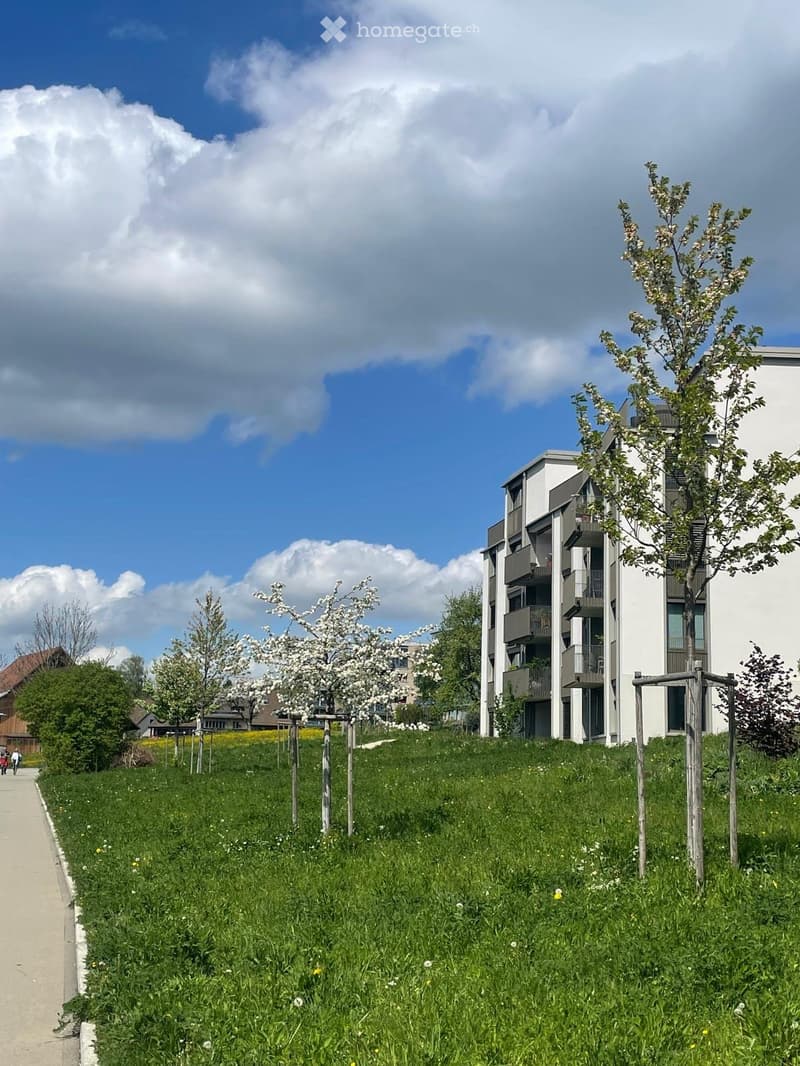 A modern residential building with balconies is visible on the right, surrounded by a grassy area with young trees and a pathway.