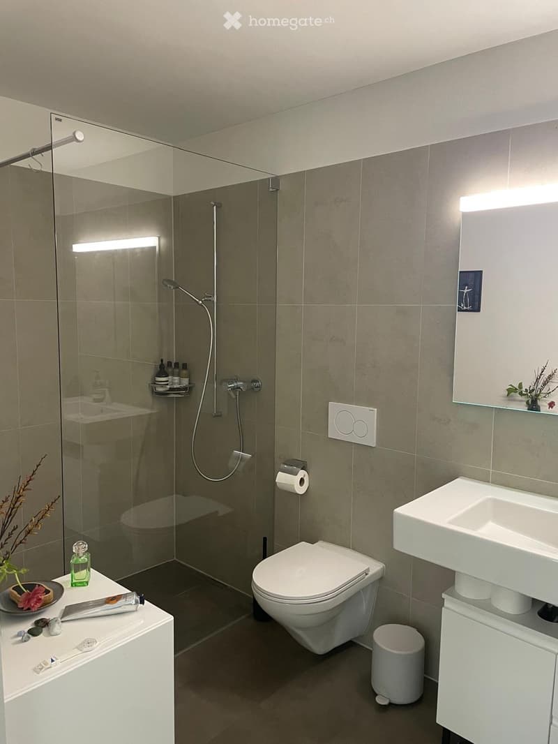 Modern bathroom with a glass-enclosed shower, toilet, sink, and mirrored cabinet. Includes a shower shelf with toiletries, a toilet paper holder, and decorative items on the sink counter.