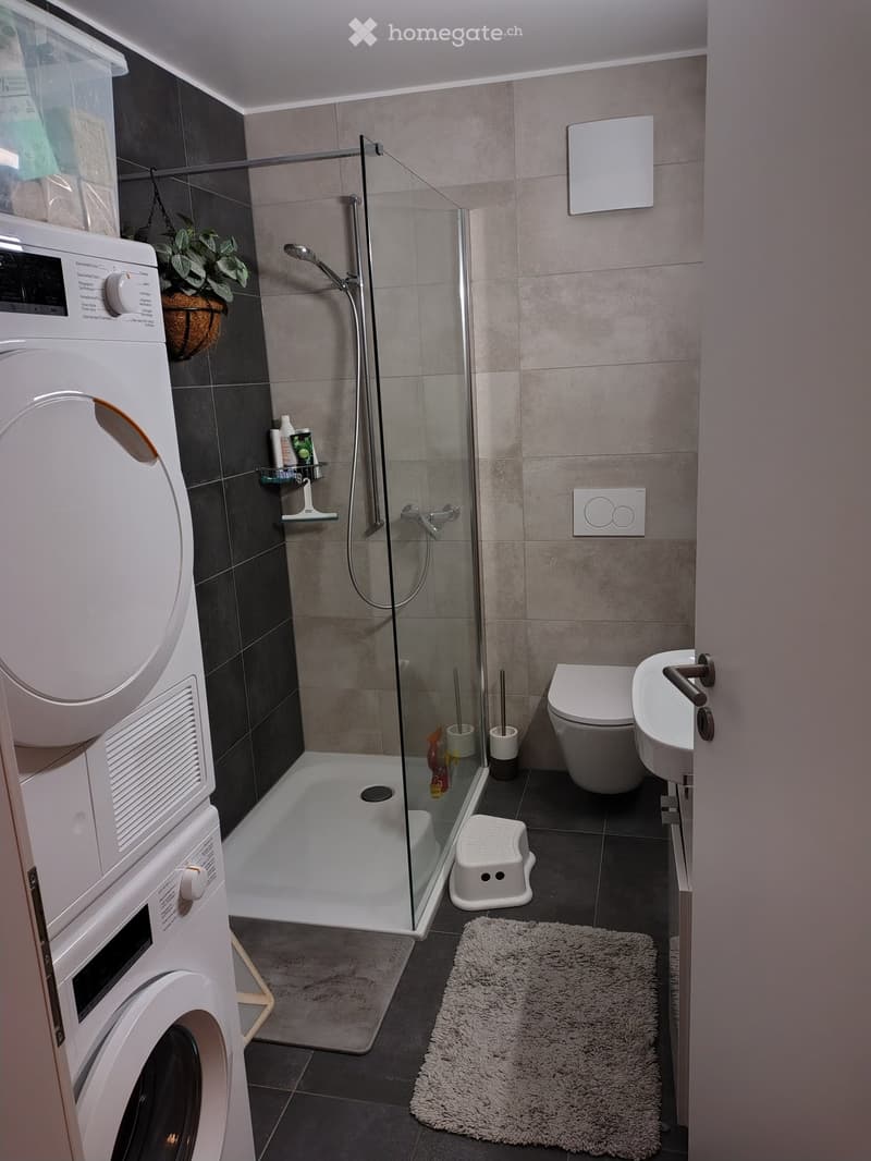 Modern bathroom with a glass-enclosed shower, toilet, sink, washing machine, and a small plant on a shelf.