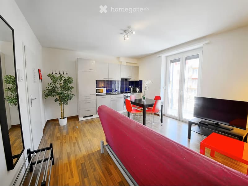 A modern, open-concept living and dining area with a red sofa, a black dining table with red chairs, a flat-screen TV on a stand, a small kitchen with white cabinets and stainless steel appliances, and a potted plant near the entrance.