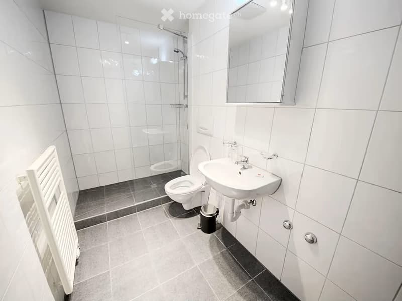 Modern bathroom with white tiled walls, a toilet, sink, mirror, glass-enclosed shower, radiator, and a trash bin.
