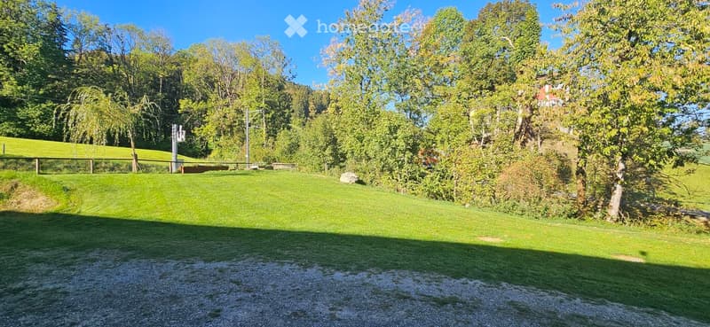 A well-maintained lawn with trees and a fence, featuring a clear blue sky and a small structure in the background.
