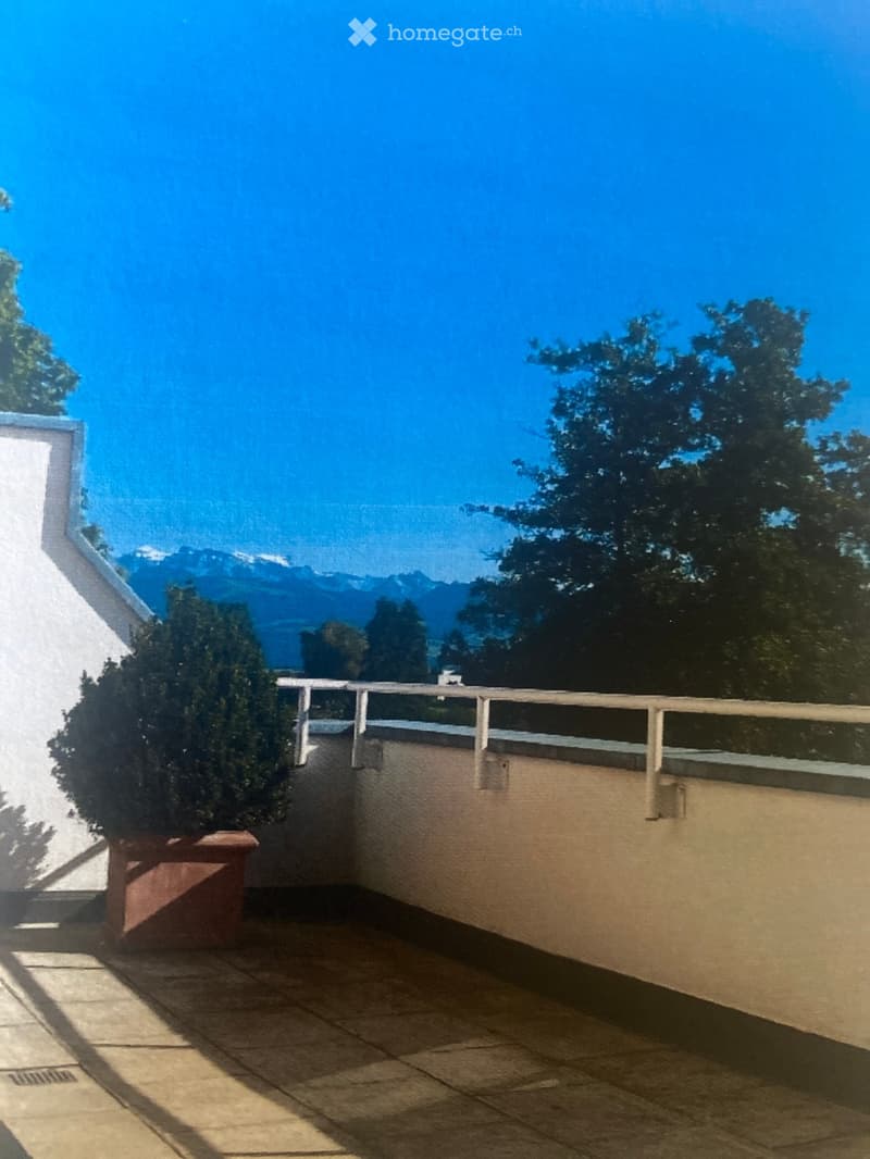 Balcony with tiled floor, white railing, potted plant, and scenic mountain view.