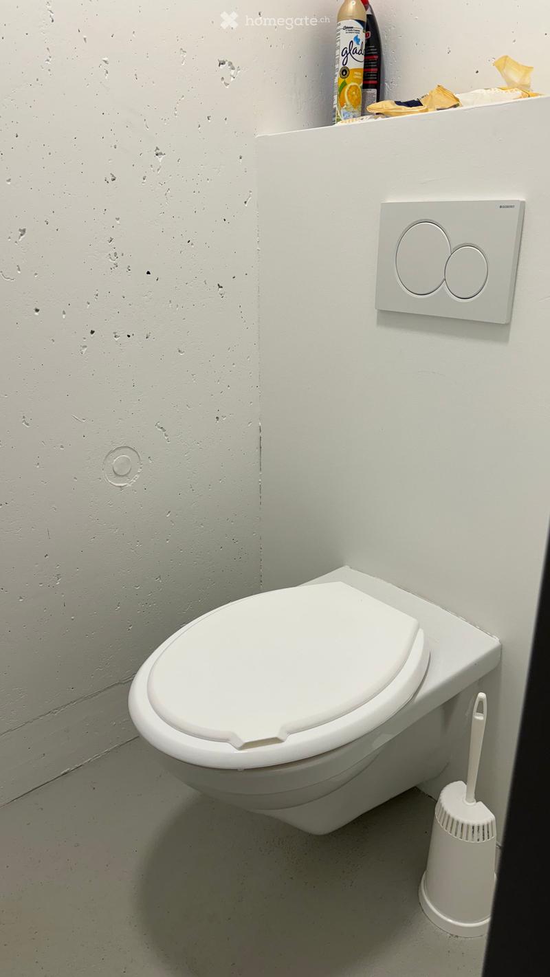 White toilet with closed lid, toilet brush, and a bottle of air freshener on the shelf above.