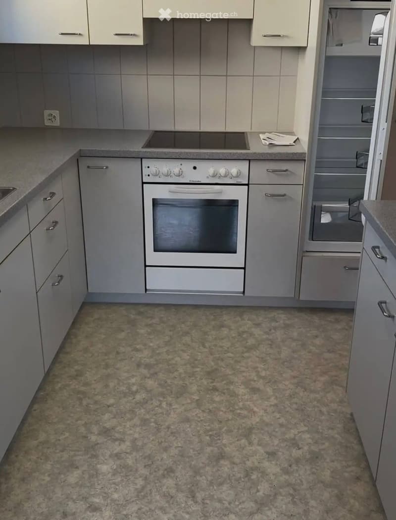 Modern kitchen with grey cabinets, a built-in oven, and a refrigerator. The floor features a patterned carpet.