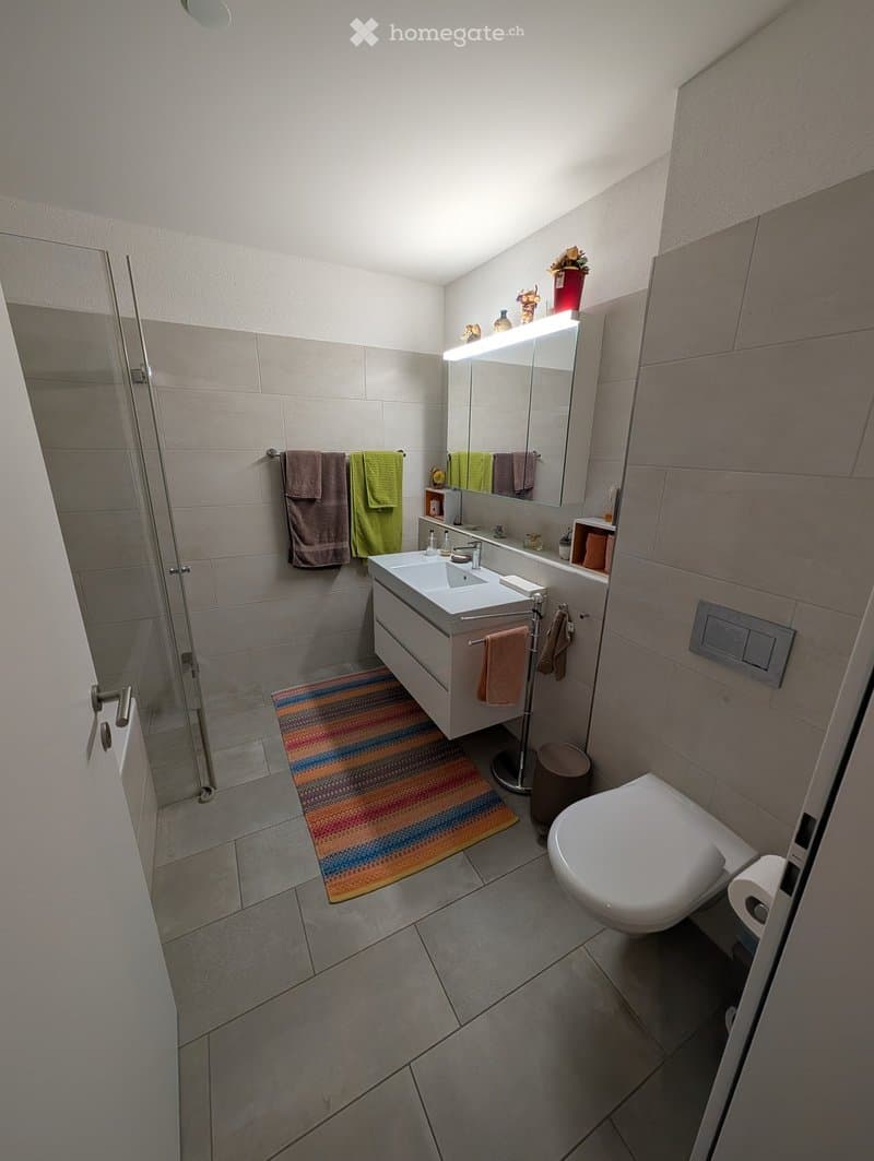 Modern bathroom with a white sink, toilet, large mirror with built-in lighting, towel rack with towels, and a colorful bathroom rug.