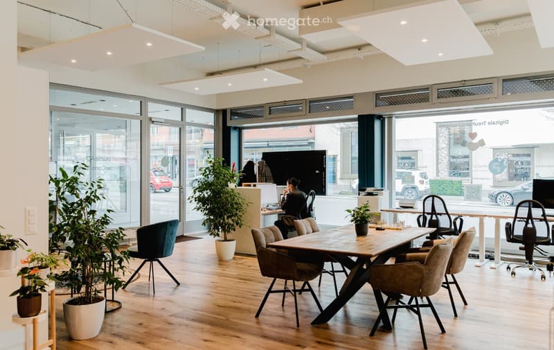 modern office, wooden floor, glass walls, several plants, two tables, office chairs, TV