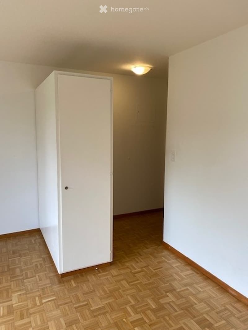 Empty room with wooden herringbone flooring, white walls, and a single built-in closet. No furniture or personal items present.