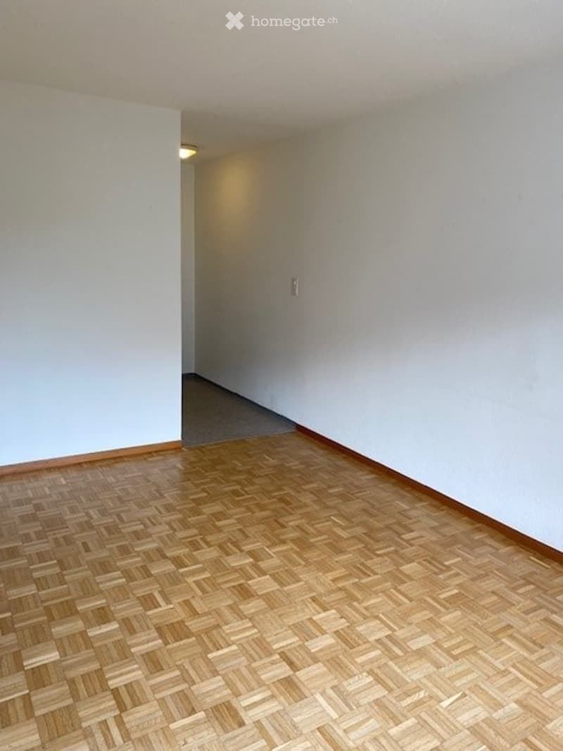 Empty room with wooden parquet flooring, white walls, and a single light fixture on the ceiling.