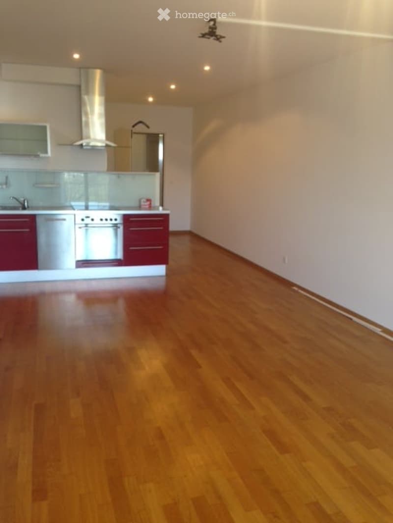 Hardwood flooring, white walls, red cabinets, gas stove, dishwasher, sink, modern design