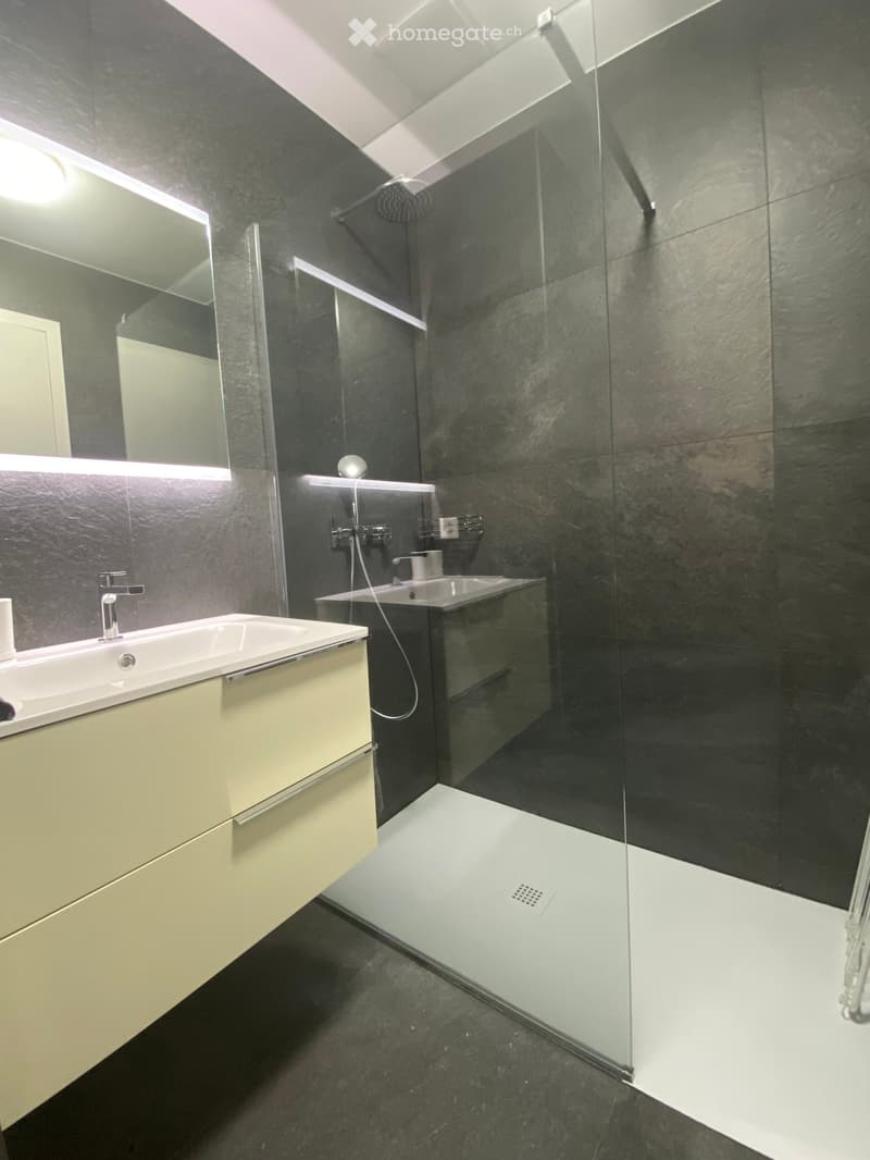 Modern bathroom with dark grey tiles, white sink, glass shower enclosure, and built-in cabinetry.