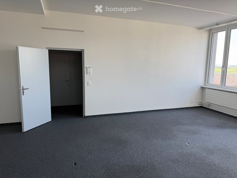 Empty room with grey carpet, white walls, large window, and a closed door.