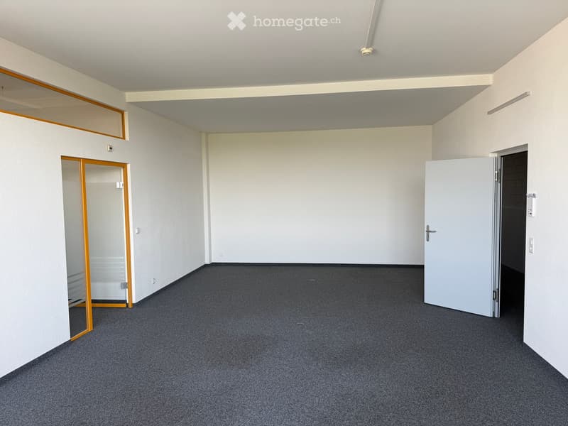 Empty room with white walls, grey carpeted floor, and two doors (one with glass panels).