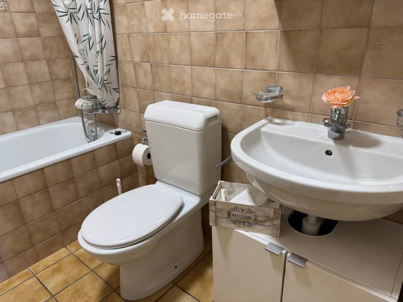 Bathroom with beige tiled walls, a white toilet, a sink with a faucet, a bathtub, and a small wooden box holding toilet paper. A flower in a vase sits on the sink counter.