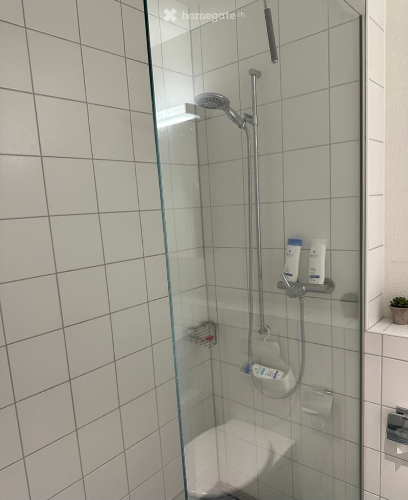 Modern shower area with tiled walls, glass enclosure, handheld showerhead, and built-in shelf holding toiletries.