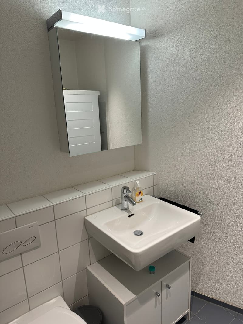 Modern bathroom with a white sink, chrome faucet, built-in mirror cabinet, and tiled walls.