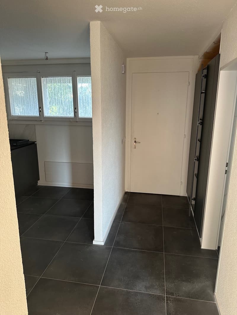 Renovierte moderne 2.5-Zimmerwohnung in Zürich zu vermieten (6)