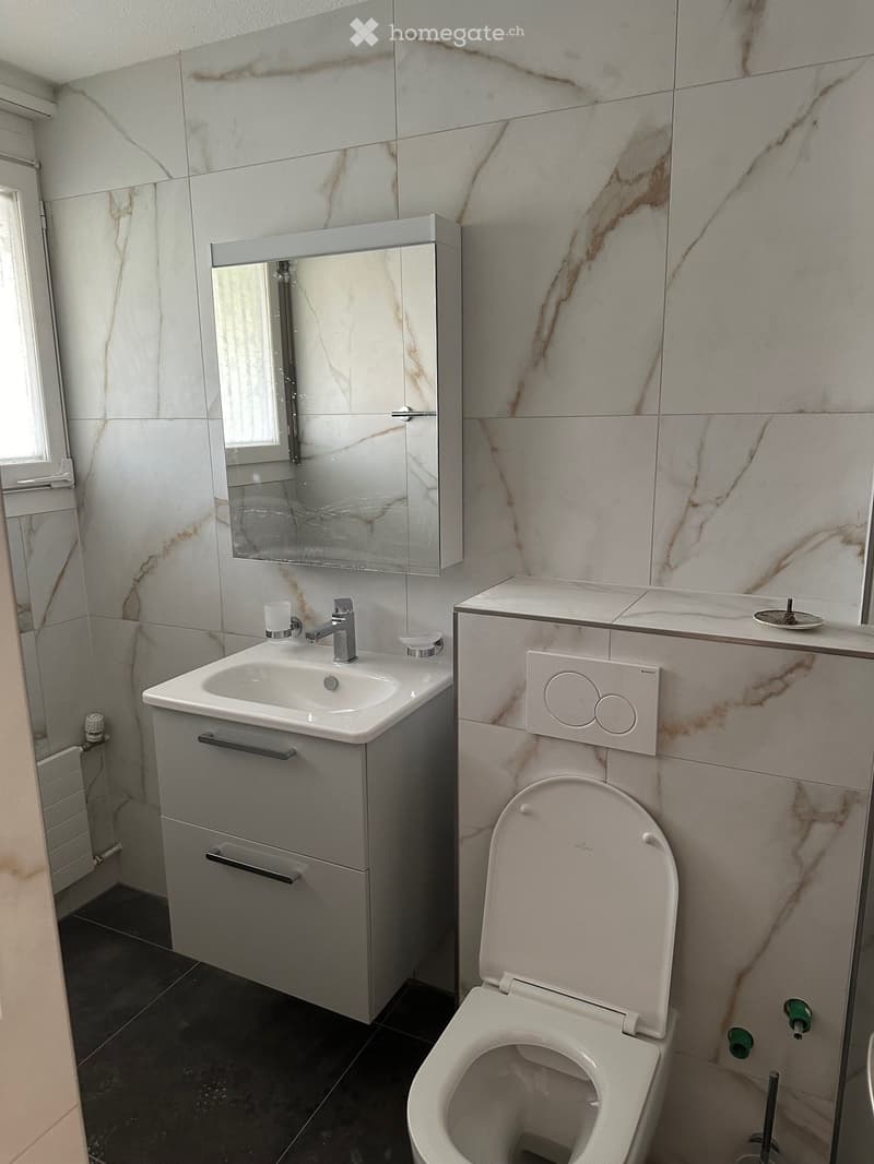 Renovierte moderne 2.5-Zimmerwohnung in Zürich zu vermieten (4)