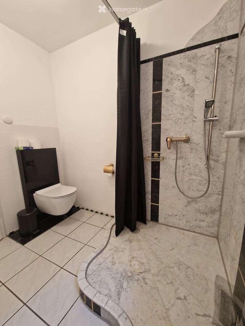 Modern bathroom with a toilet, shower, and marble tiles. Features a black shower curtain, a sleek faucet, and a toilet paper holder.