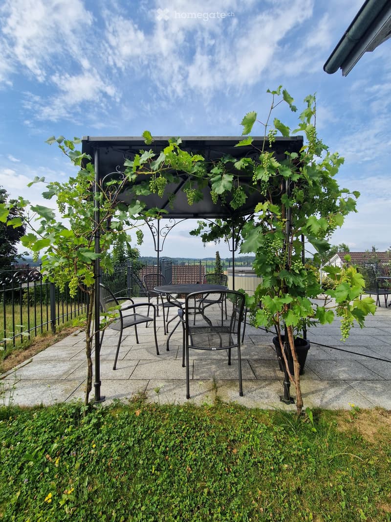 Outdoor patio with a table and chairs, surrounded by grapevines and a fence, with a swimming pool visible in the background.