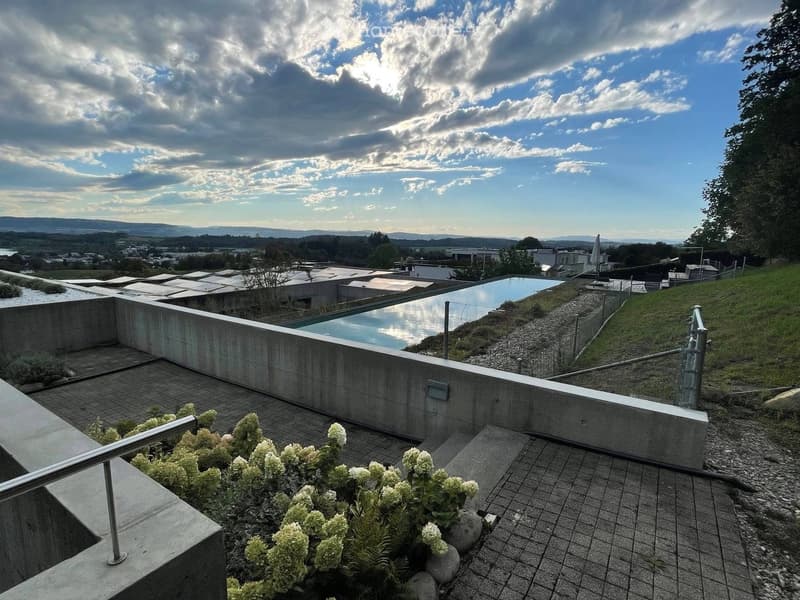 Roof terrace with concrete walls, tiled floor, small garden area with white flowers, and a swimming pool visible in the distance.
