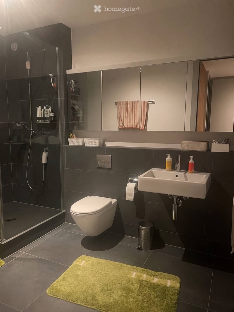 Modern bathroom with dark grey tiles, white toilet, double sink, large mirror, shower with glass enclosure, and a green bathroom rug.