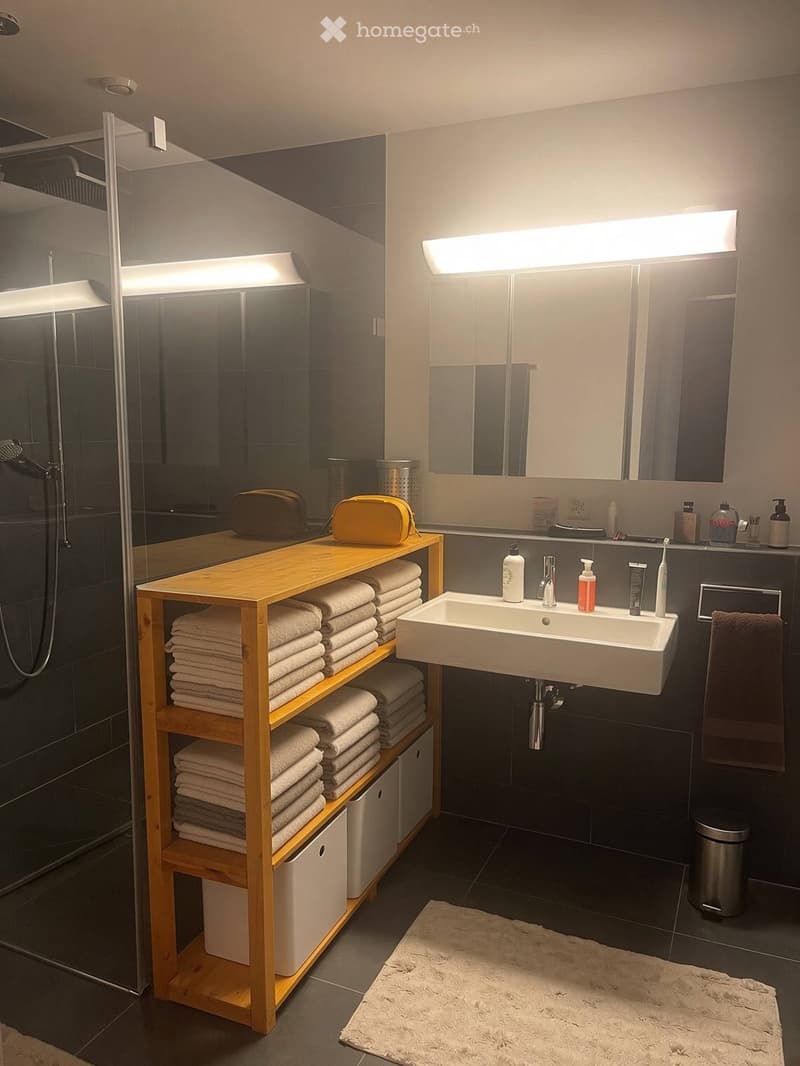Modern bathroom with a double sink, large mirror, wooden shelf with neatly stacked towels, and a glass-enclosed shower area.