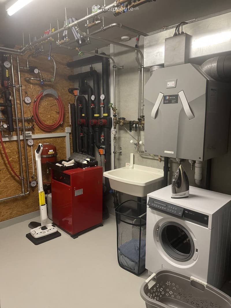 Well-organized utility room with a washing machine, sink, water softener, water filter, water heater, vacuum cleaner, ironing board, and iron.
