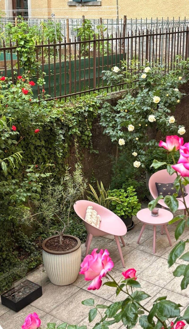 A small, enclosed garden with a metal fence, featuring pink chairs, a small table, a potted plant, and various blooming roses.
